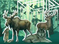 II Международная дистанционная олимпиада по биологии «Млекопитающие» для школьников 5-11 классов, студентов и педагогов