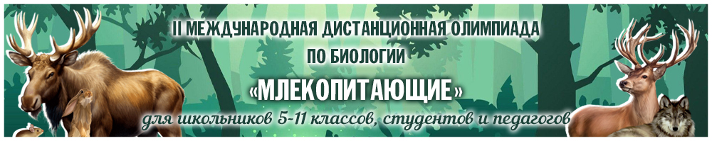 Предметные олимпиады