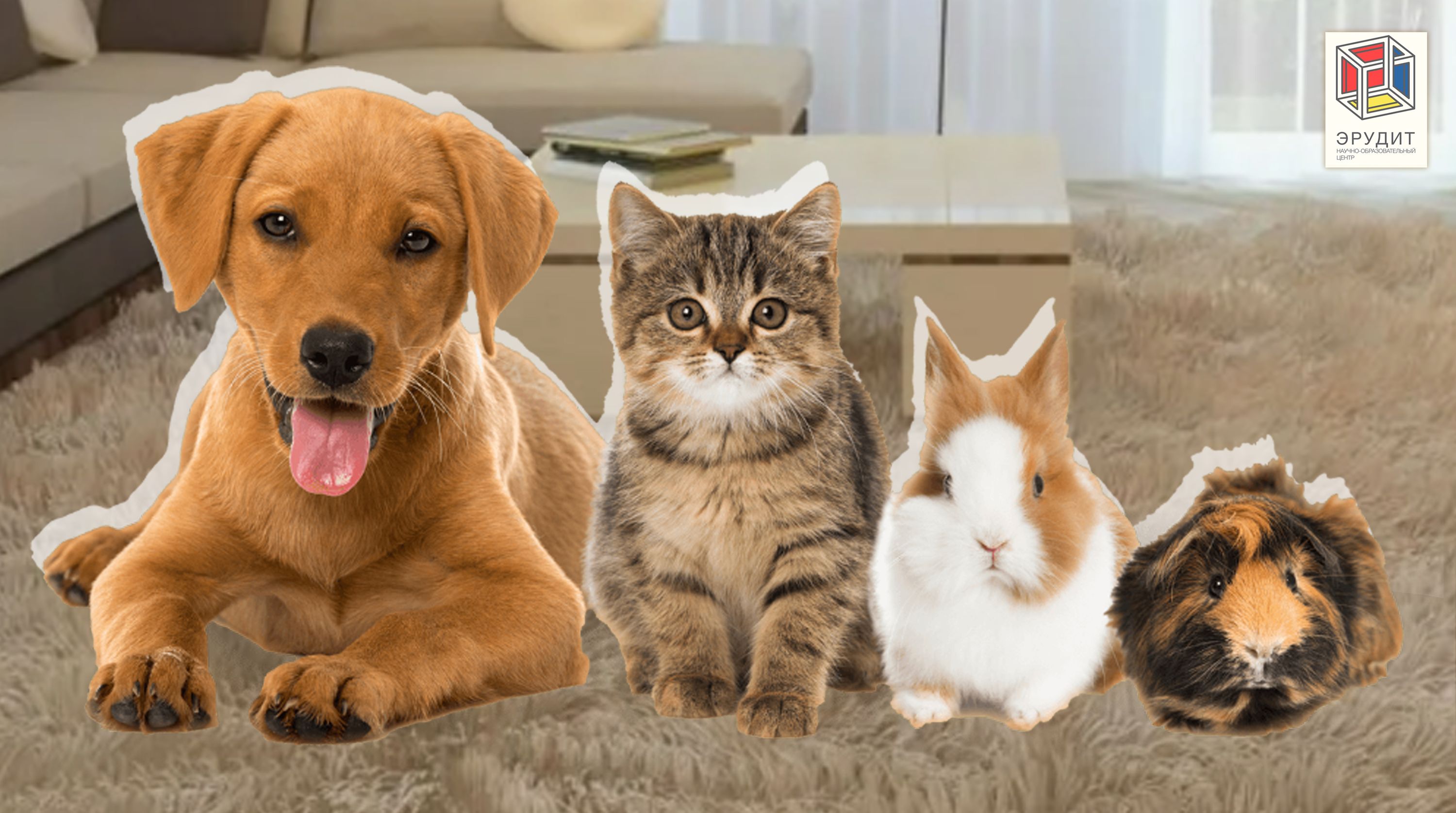 Классный час Разговоры о важном